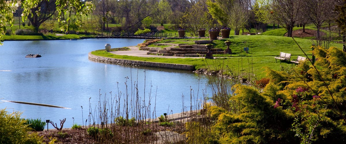 A serene park with a pond, stone steps, and benches.
