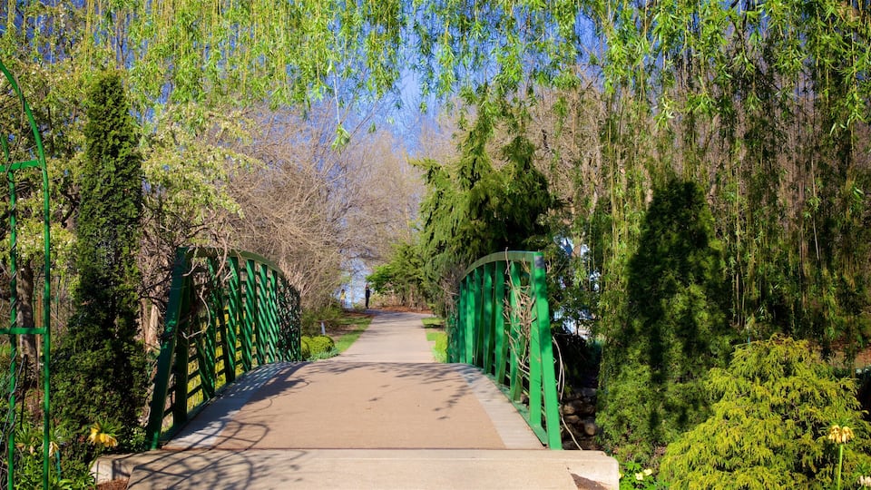 A green metal bridge with a concrete path, surrounded by dense greenery and trees.
