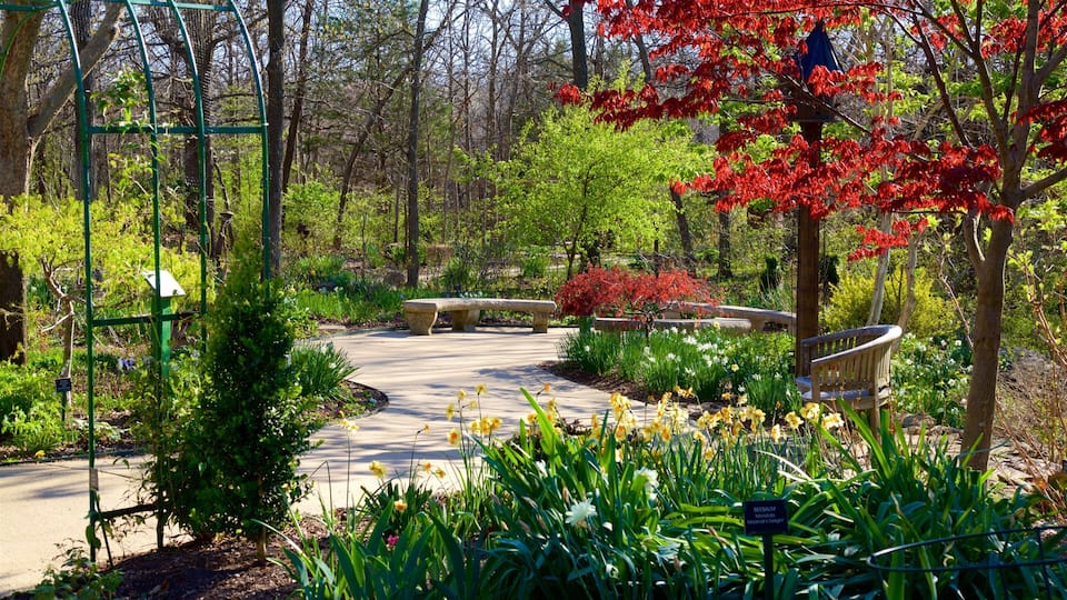 A garden with a winding path, benches, and various flowering plants.