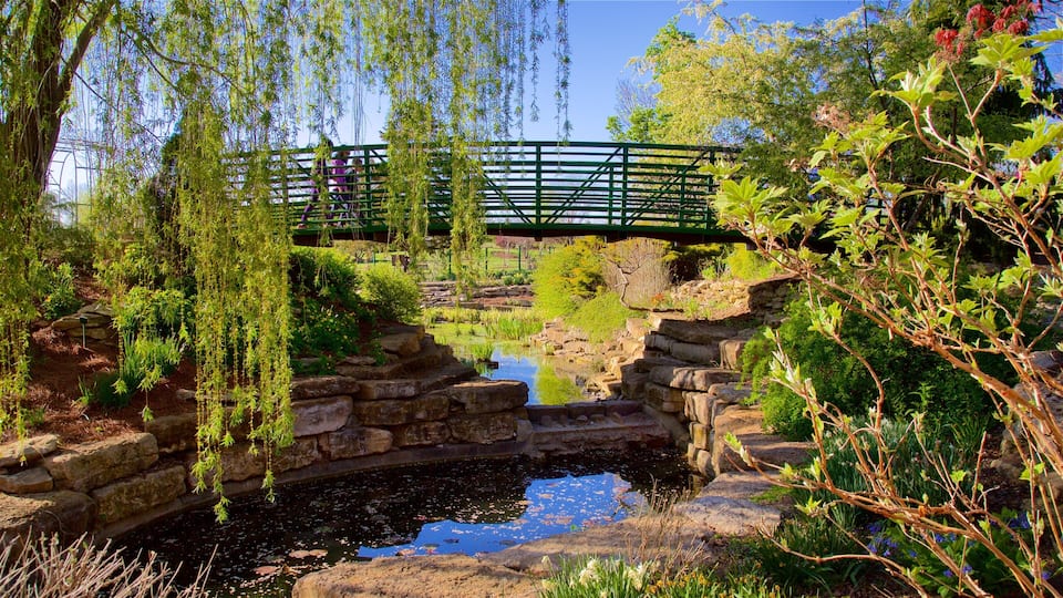 A stone bridge over a pond, surrounded by lush greenery and a green metal bridge in the background.