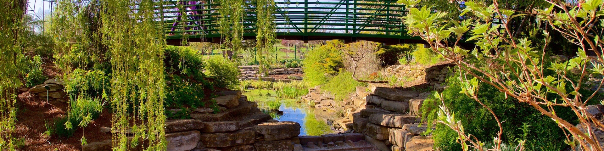 Kansas City featuring a river or creek, a bridge and a park