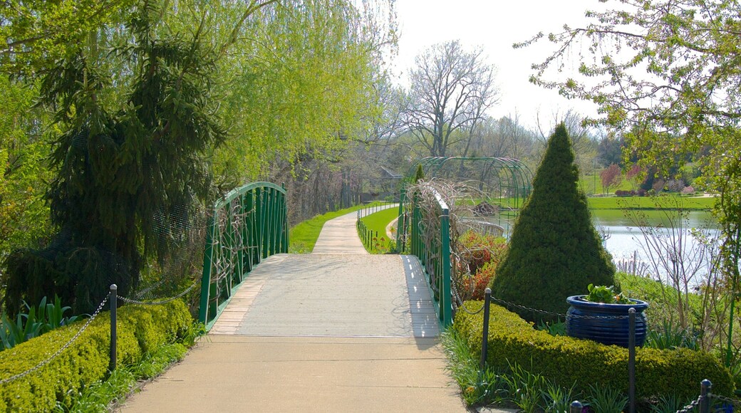 Overland Park Arboretum and Botanical Gardens showing a garden, landscape views and a bridge