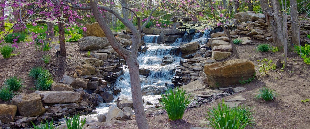 Overland Park Arboretum and Botanical Gardens showing a river or creek, a waterfall and forest scenes