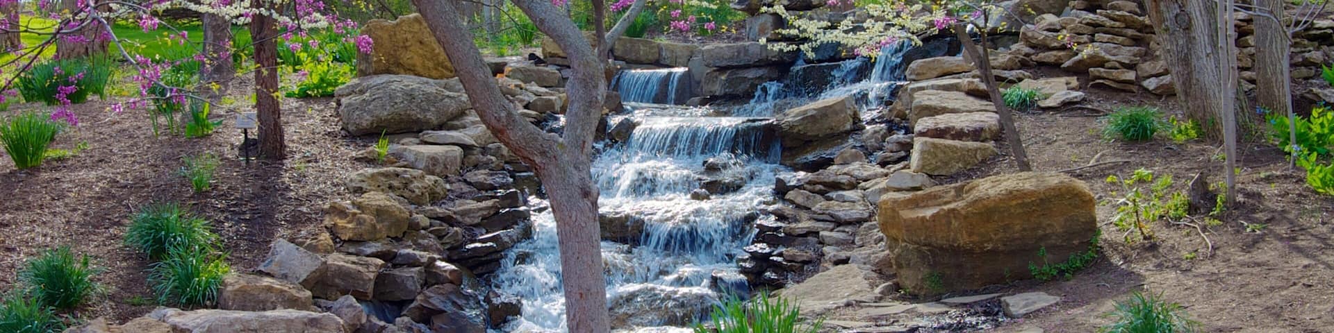 Overland Park Arboretum and Botanical Gardens mettant en vedette parc, riviĂšre ou ruisseau et cascade