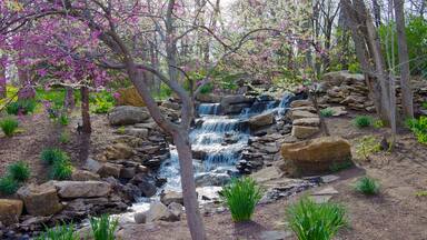 A waterfall cascading over rocks in a forested area with blooming pink trees.