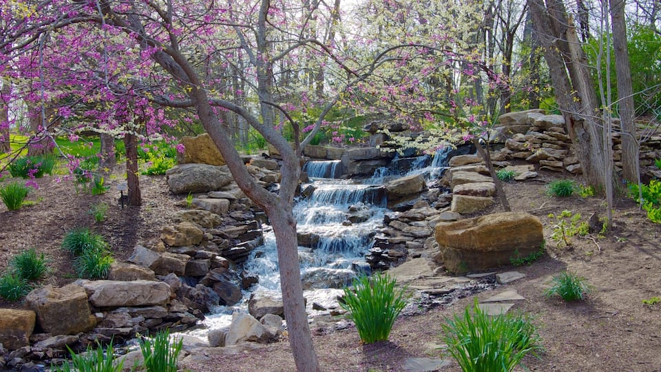 A waterfall cascading over rocks in a forested area with blooming pink trees.