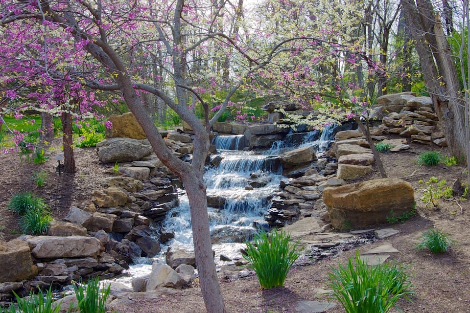 A waterfall cascading over rocks in a forested area with blooming pink trees.