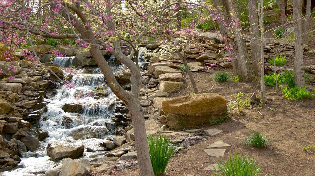 Overland Park Arboretum and Botanical Gardens johon kuuluu luonnonvaraiset kukat ja joki tai puro