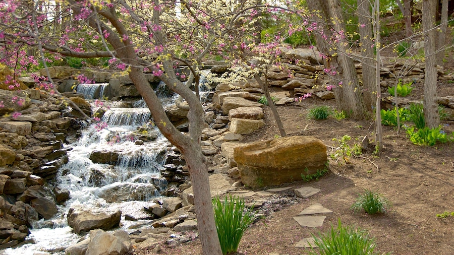 Overland Park Arboretum and Botanical Gardens featuring wild flowers and a river or creek