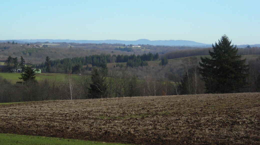 Coussac-Bonneval 066