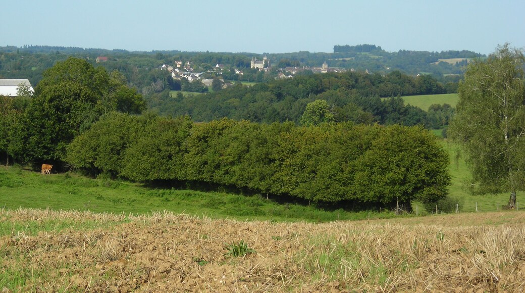 Coussac-Bonneval Pouriol 060