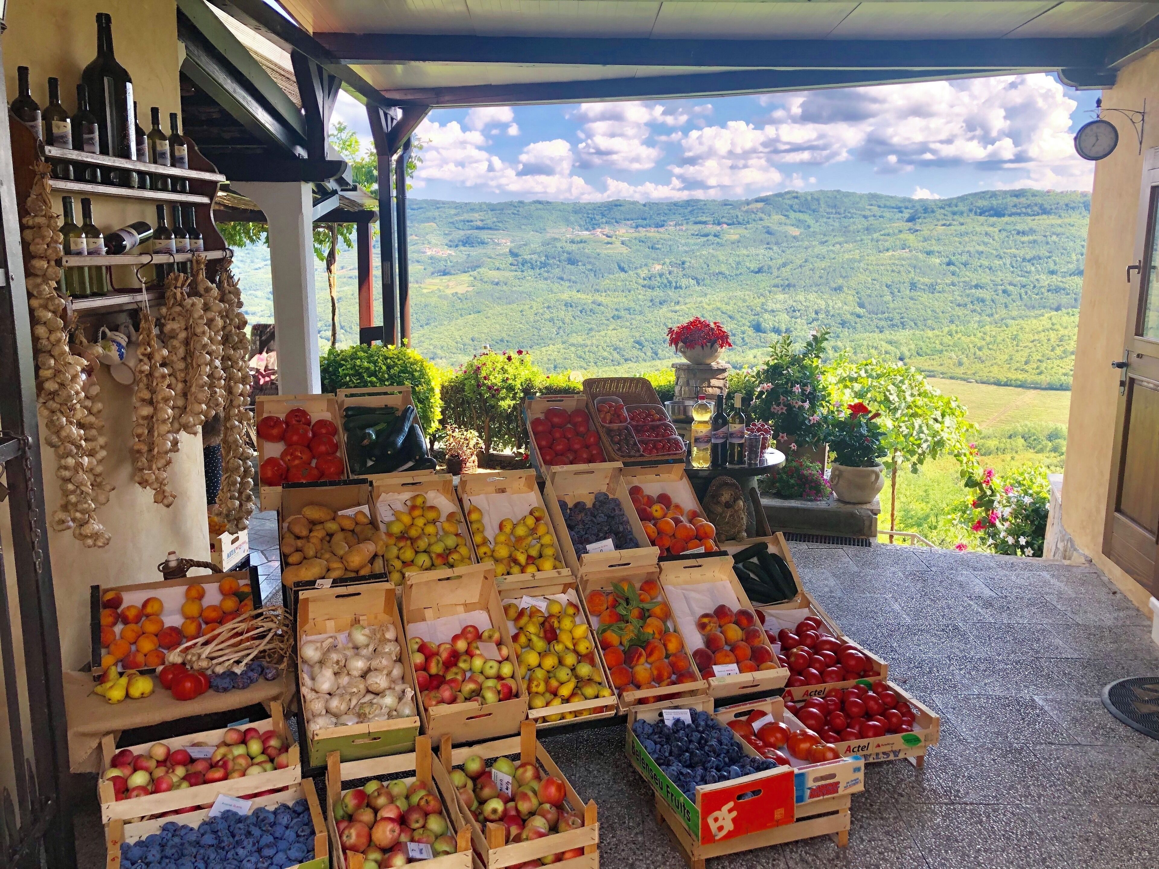 The views from Motovun are charming and breathtaking!