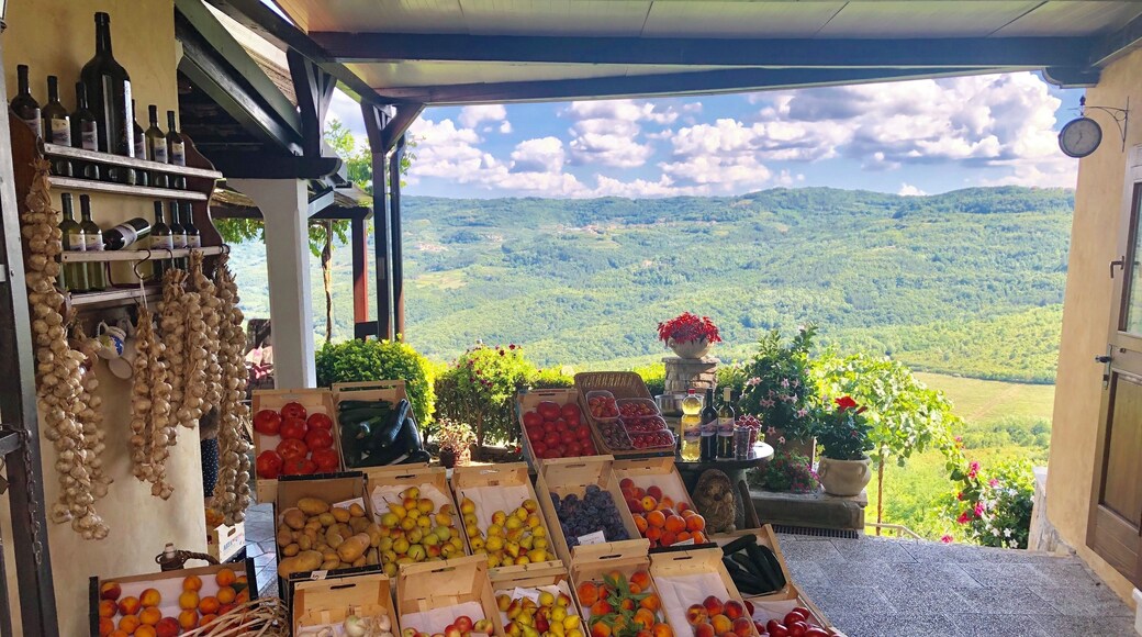 The views from Motovun are charming and breathtaking!