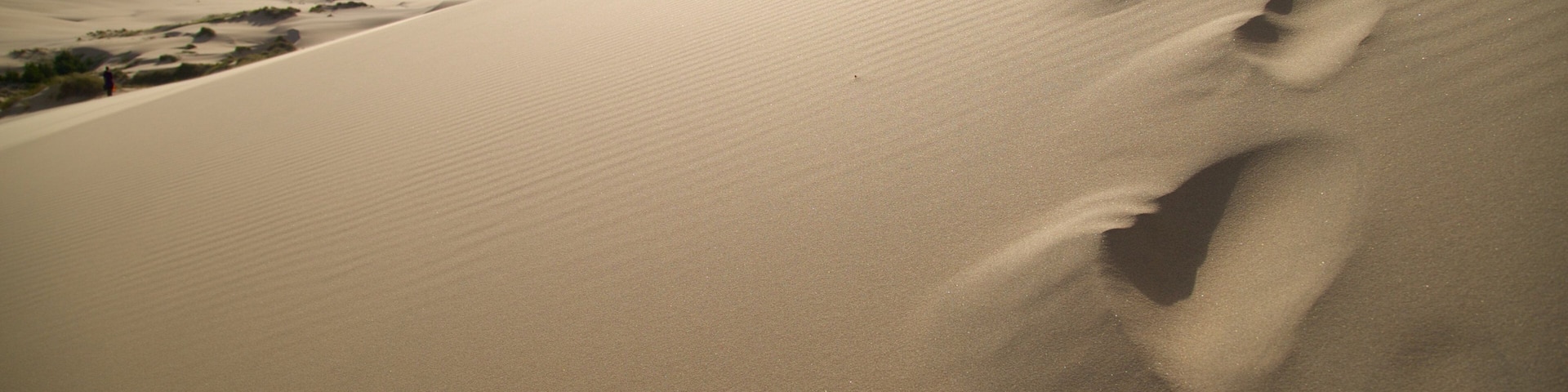 Oregon Dunes National Recreation Area which includes landscape views and desert views