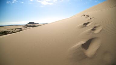 Oregon Dunes National Recreation Area which includes landscape views and desert views