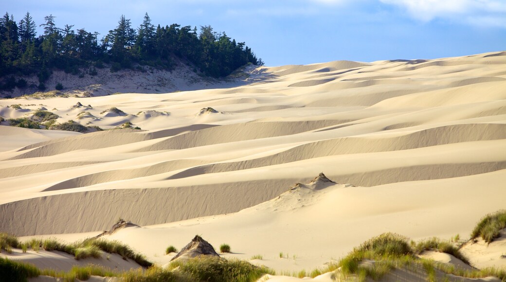 Oregon Dunes National Recreation Area bevat woestijnen en landschappen