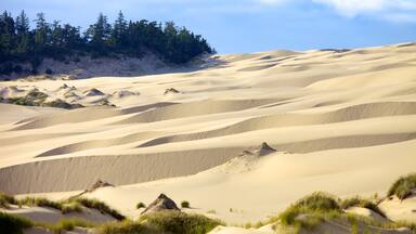 Oregon Dunes National Recreation Area welches beinhaltet Wüstenblick und Landschaften