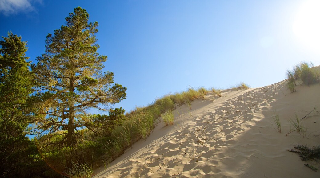 Oregon Dunes National Recreation Area