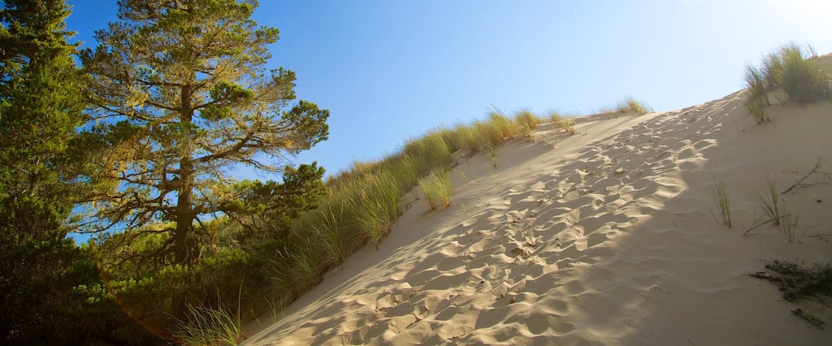 Zona nacional recreativa Oregon Dunes