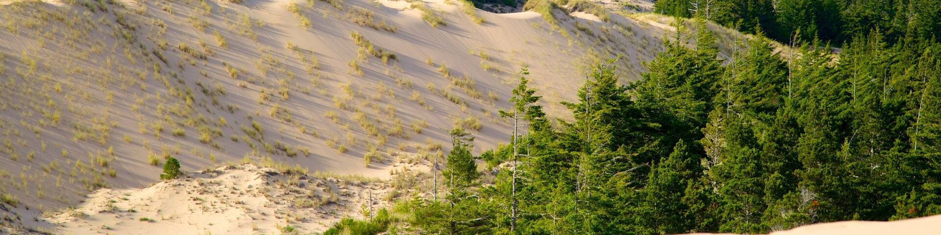 Reedsport das einen Wüstenblick und Waldmotive