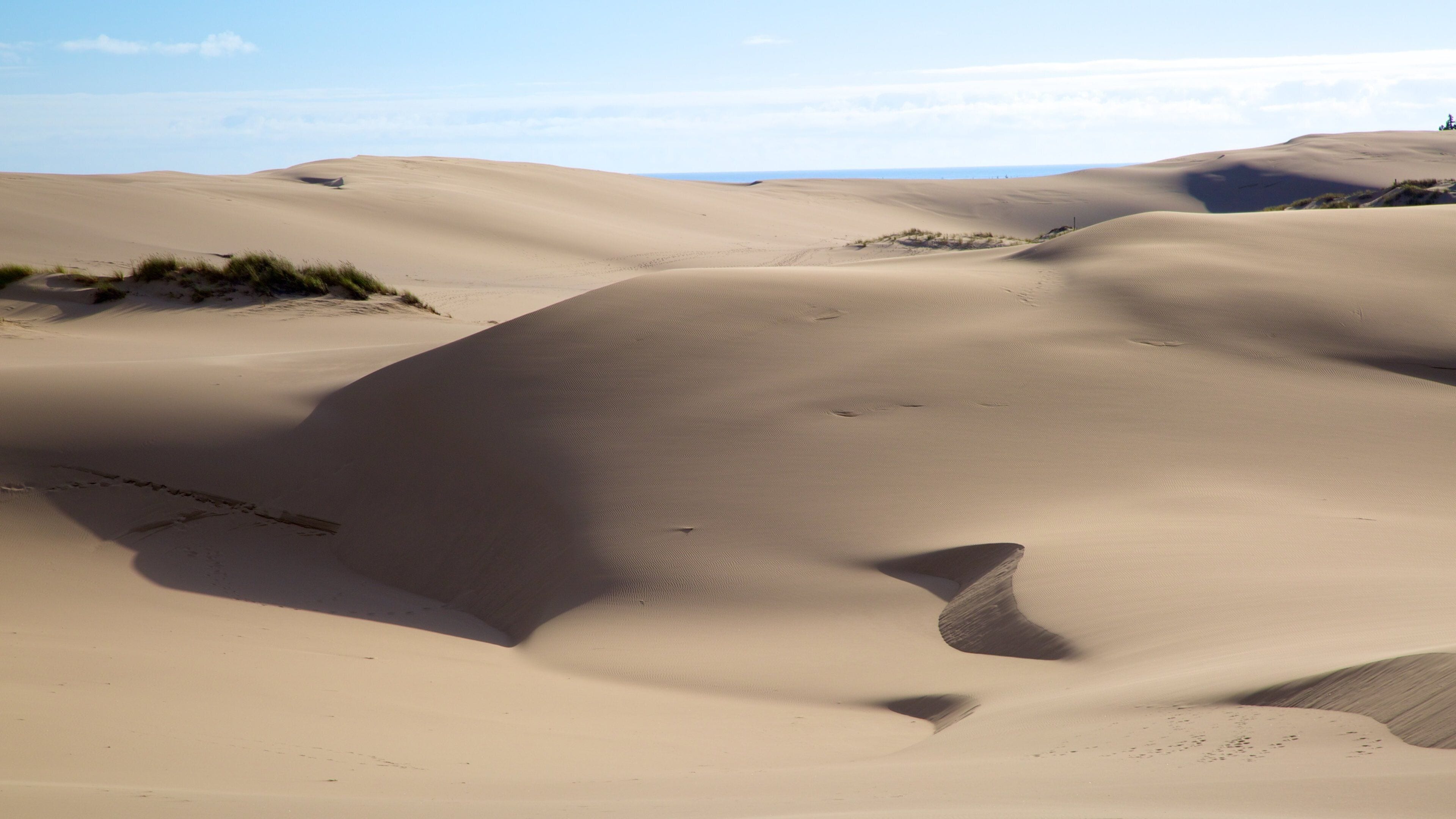 Zona nacional recreativa Oregon Dunes ofreciendo vistas al desierto y vistas de paisajes