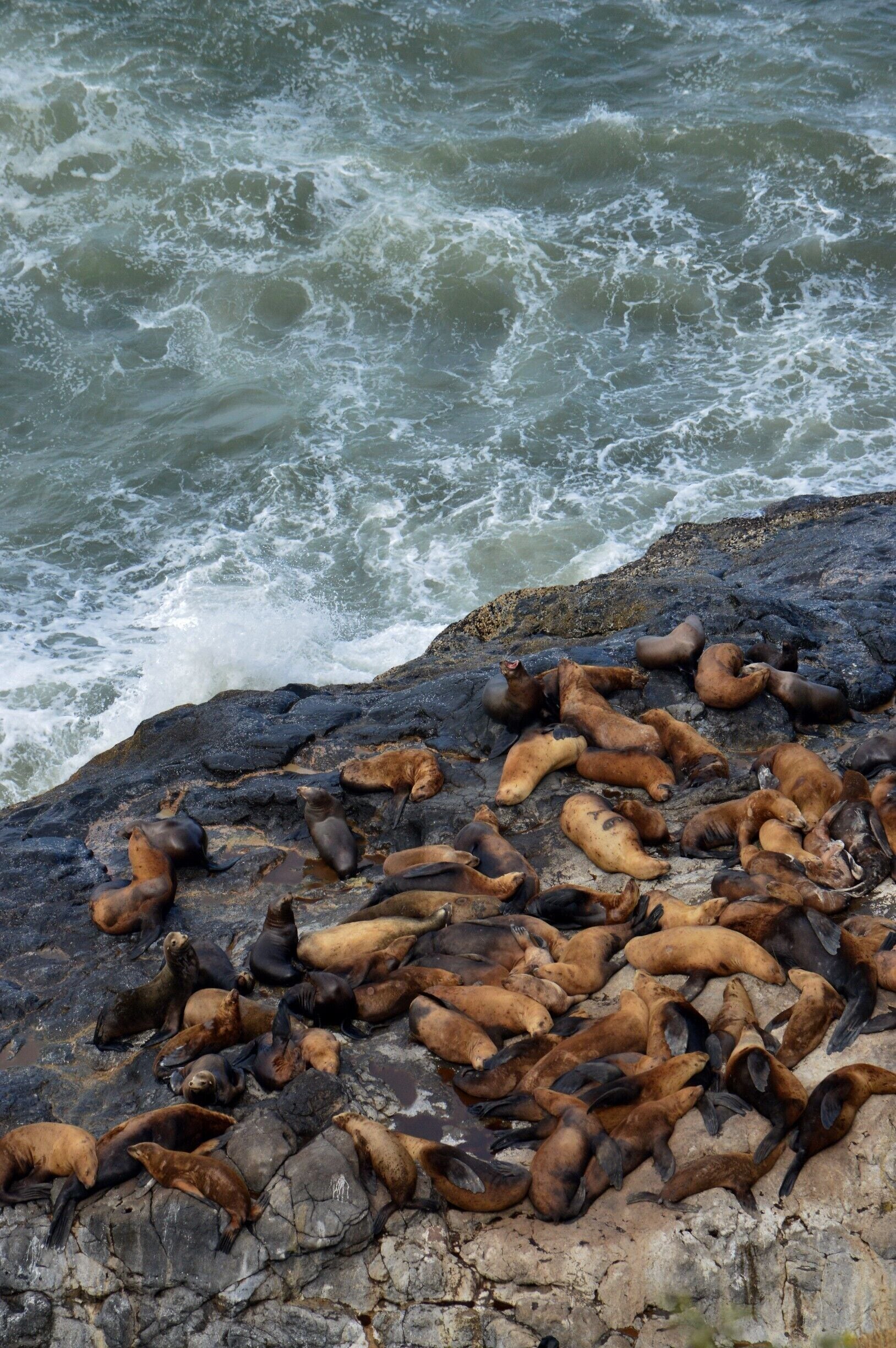 a very enjoyable #LKsAwayDays