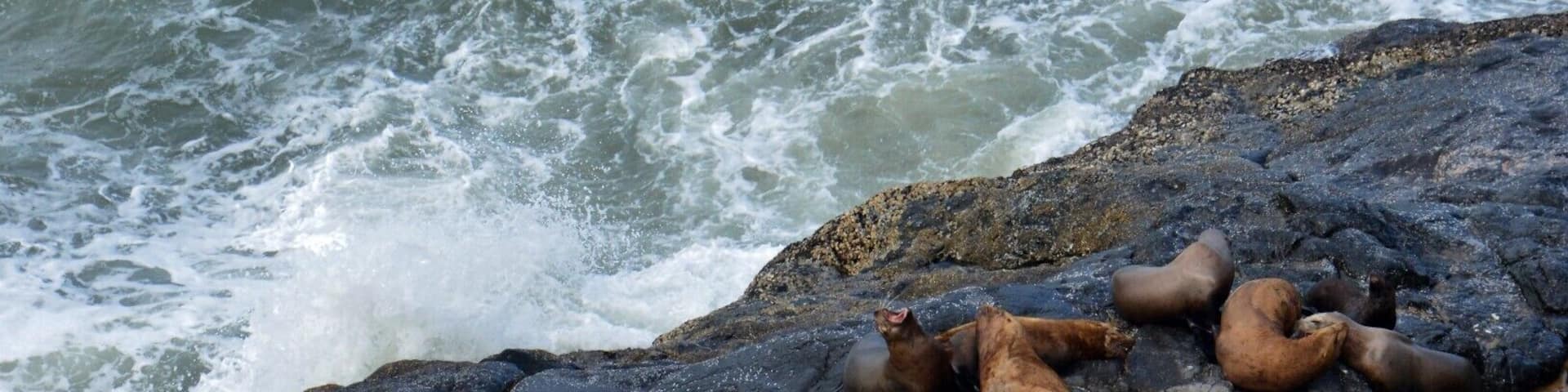 a very enjoyable #LKsAwayDays