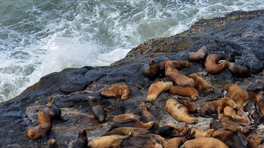 a very enjoyable #LKsAwayDays