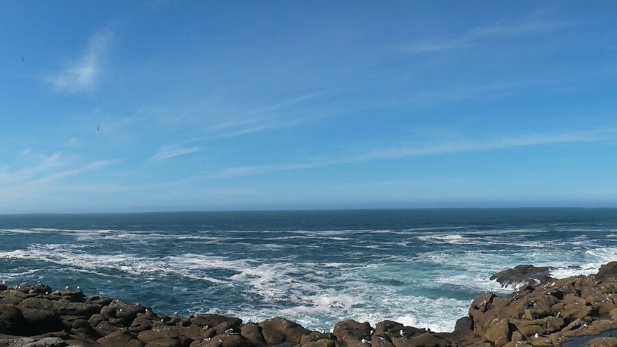 Cycling down the 101