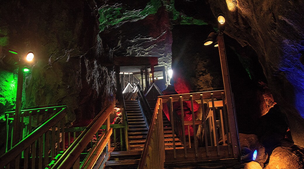 Sea Lion Caves is a commercial venture (tourist trap) on the Oregon Coast. Nonetheless, it is worth a visit, descending by an elevator hundreds of feet down the cliff into the cave itself. In addition to the sea lions, the cave itself offers some interesting lighting for us photo nuts.
#sea_lion_caves
#oregon_coast
#cave
#oregon
#abstract_lighting