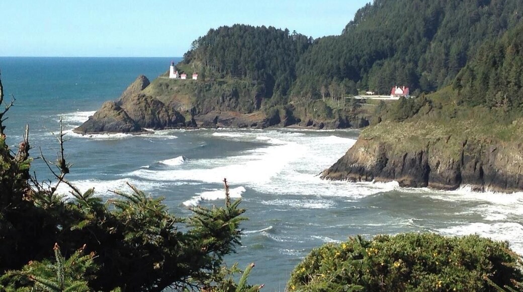 Overlooking the Oregon coast and Haceta Head Lighthouse just outside of Florence, OR. One of the most beautiful coast lines in the world! This was on a birthday trip to Yachats. It was so beautiful on the drive over that we had to stop and take photos all along the way! #BeachBound