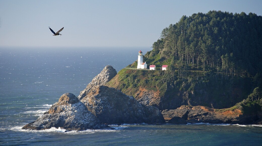 Historic Heceta Head Lighthouse Oregon