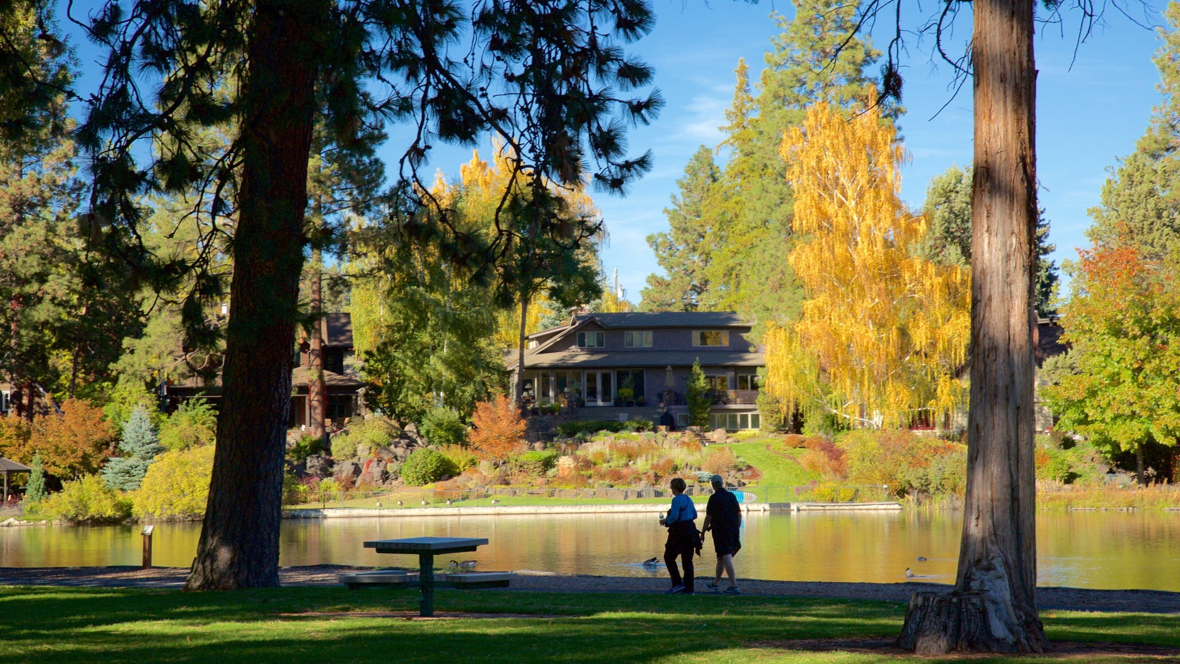 A lake surrounded by trees and a house in the background.