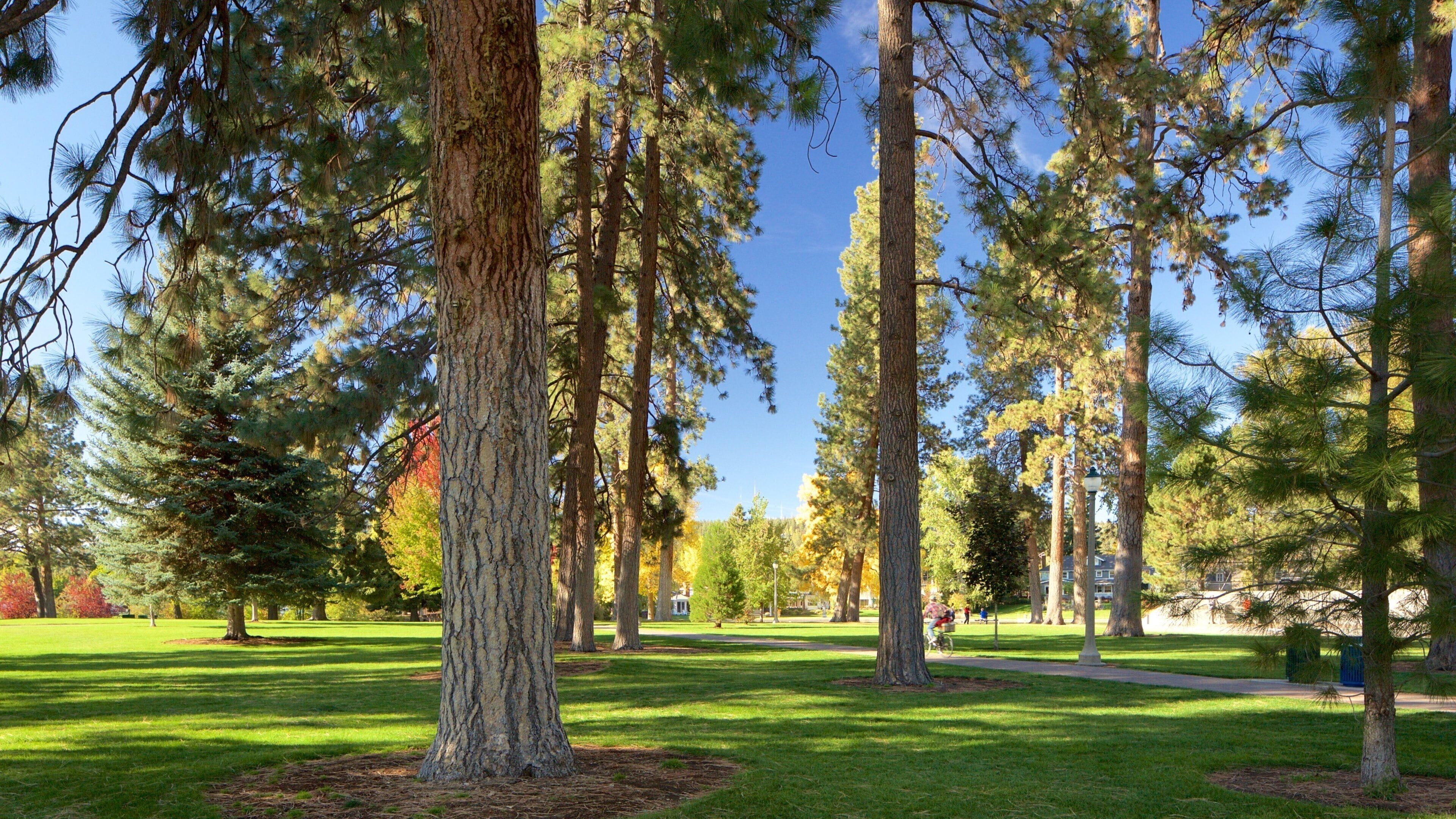 Drake Park which includes a park