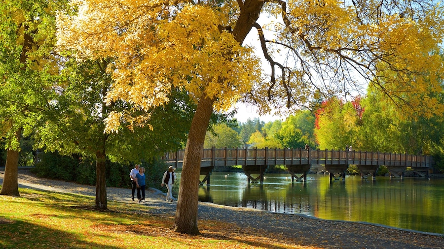 Drake Park featuring fall colors, a park and a river or creek