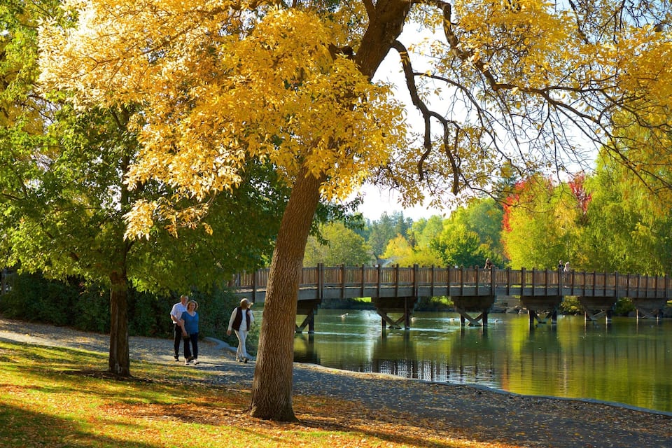 A park with a wooden bridge over a calm lake, surrounded by trees with yellow leaves.