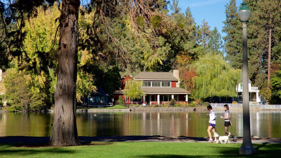 Drake Park que incluye un parque y un estanque