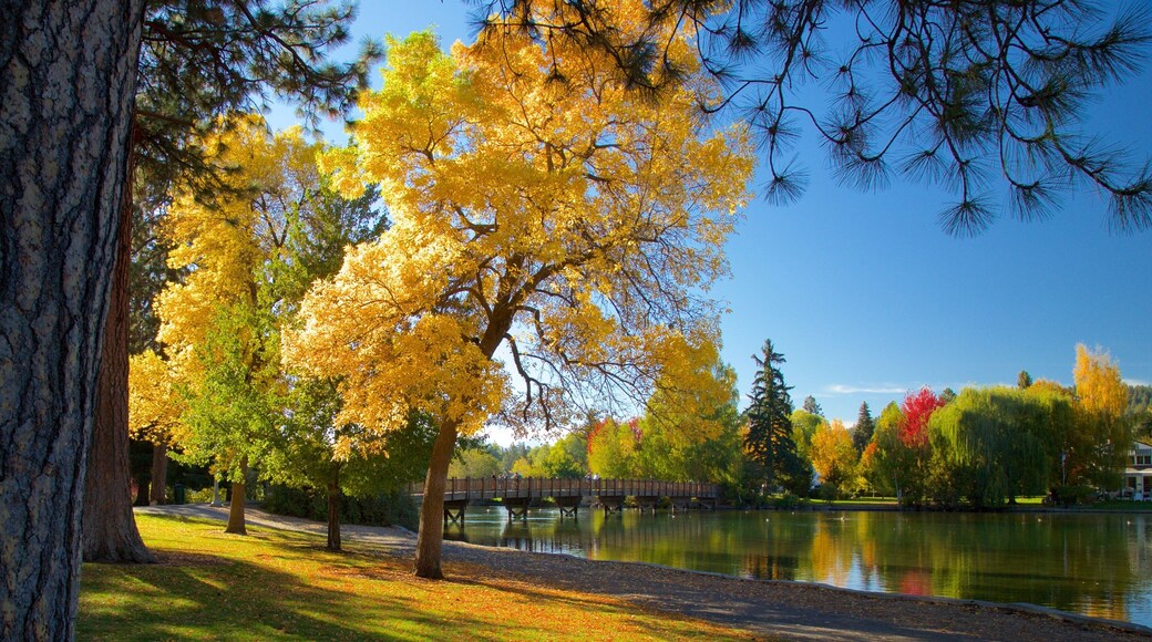 Drake Park mostrando cores do outono e um parque