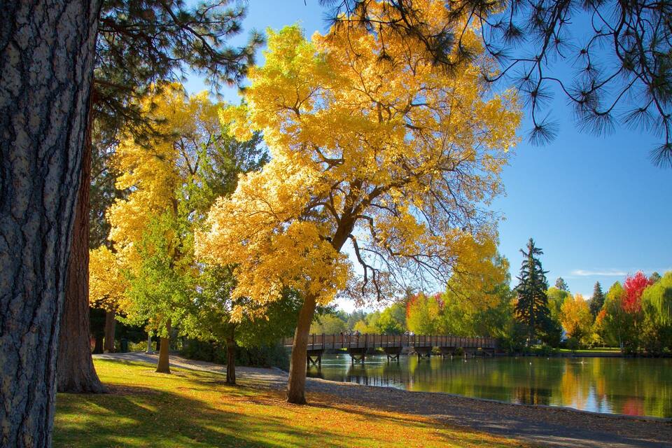 A park with autumn trees, a lake, and a wooden bridge.