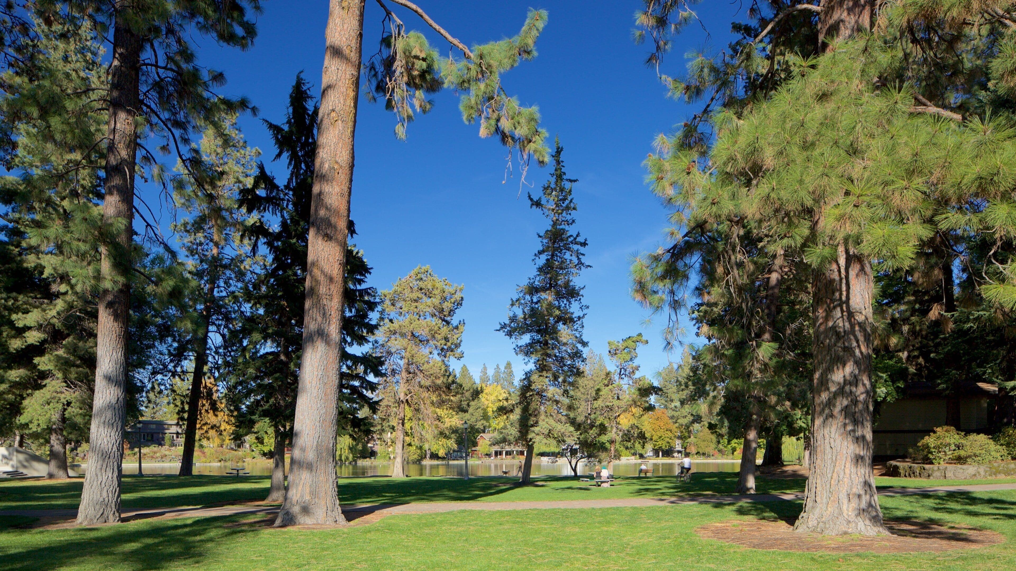Drake Park qui includes parc