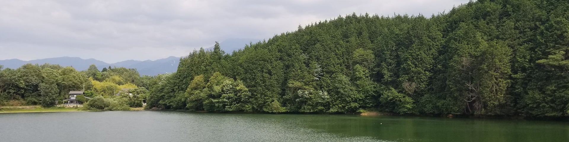 Nature of japan
Sheyron Perera Photography