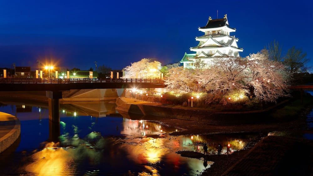 Tourists walking on a bridge toward Sunomata Ichiya Castle which is illuminated at blue dusk and surrounded by beautiful cherry blossom trees (Sakura) during Hanami Matsuri Festival, in Gifu, Japan