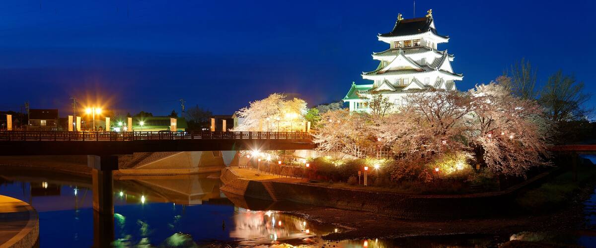 A traditional Japanese castle with cherry blossoms in bloom, reflecting in a calm body of water, under a night sky.