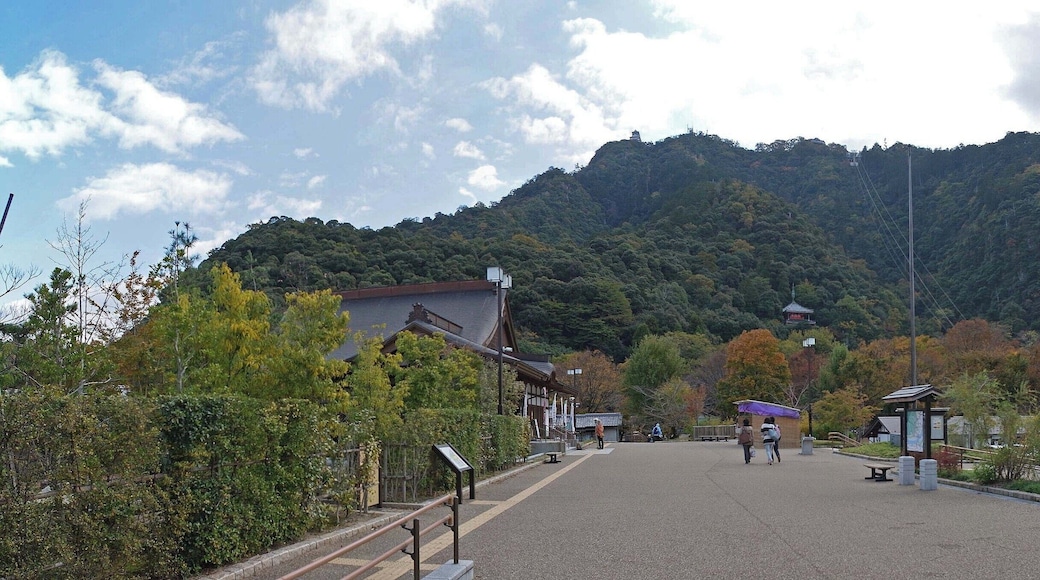 Omiyacho, Gifu, Gifu Prefecture 500-8003, Japan