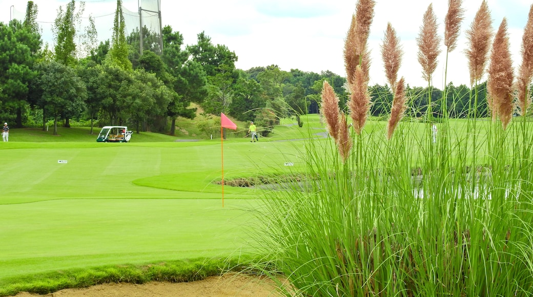 ゴルフは良き仲間、厳しいライバルがいてこその楽しさがあります