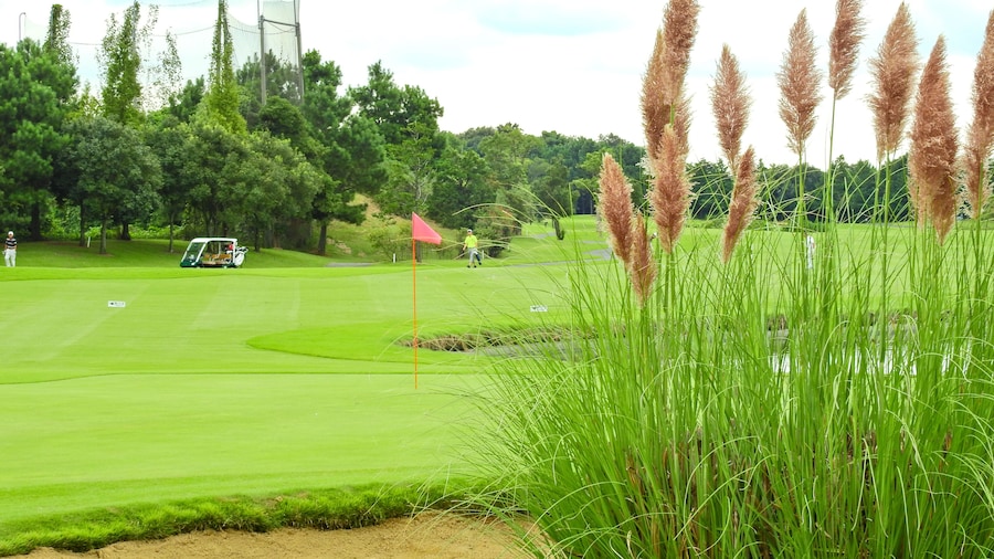 ゴルフは良き仲間、厳しいライバルがいてこその楽しさがあります