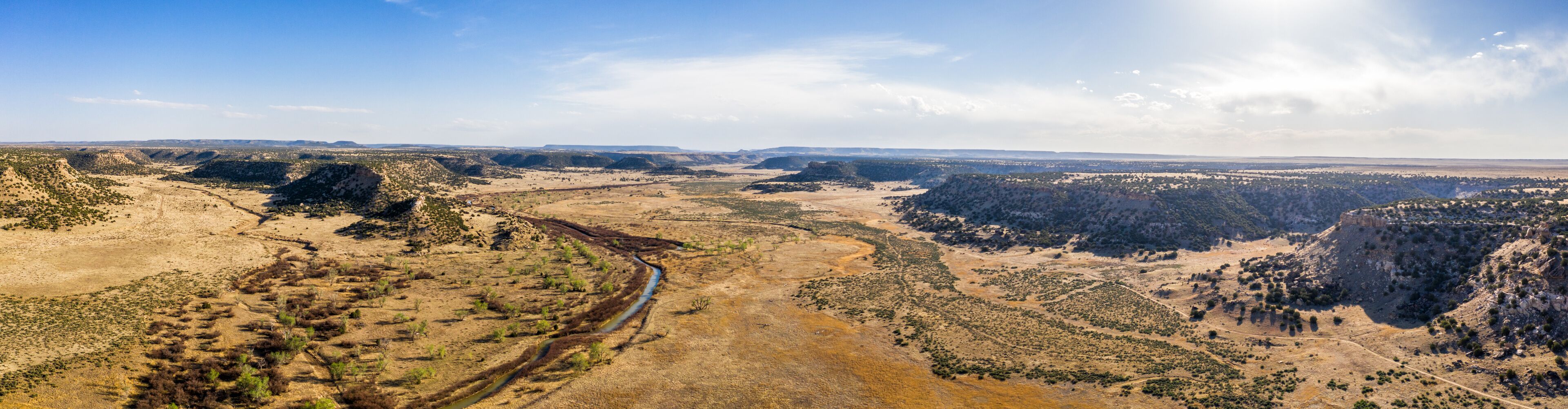 A vast canyon landscape with a winding river and sparse vegetation.
