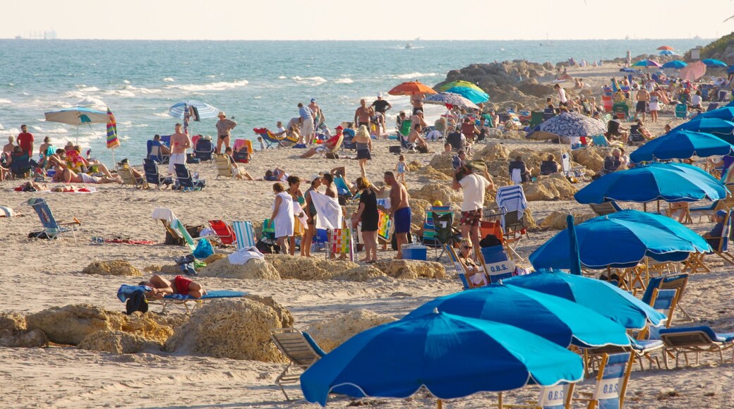 Muelle de Deerfield Beach mostrando una ciudad costera, vistas generales de la costa y vistas de paisajes