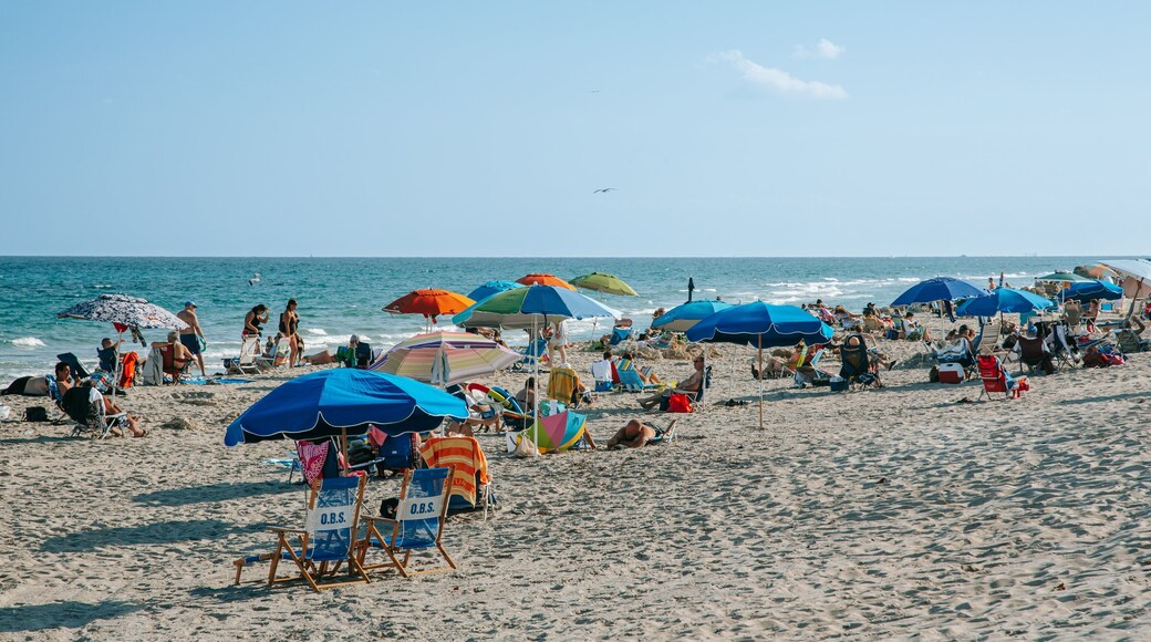 Deerfield Beach Pier showing a sandy beach and general coastal views