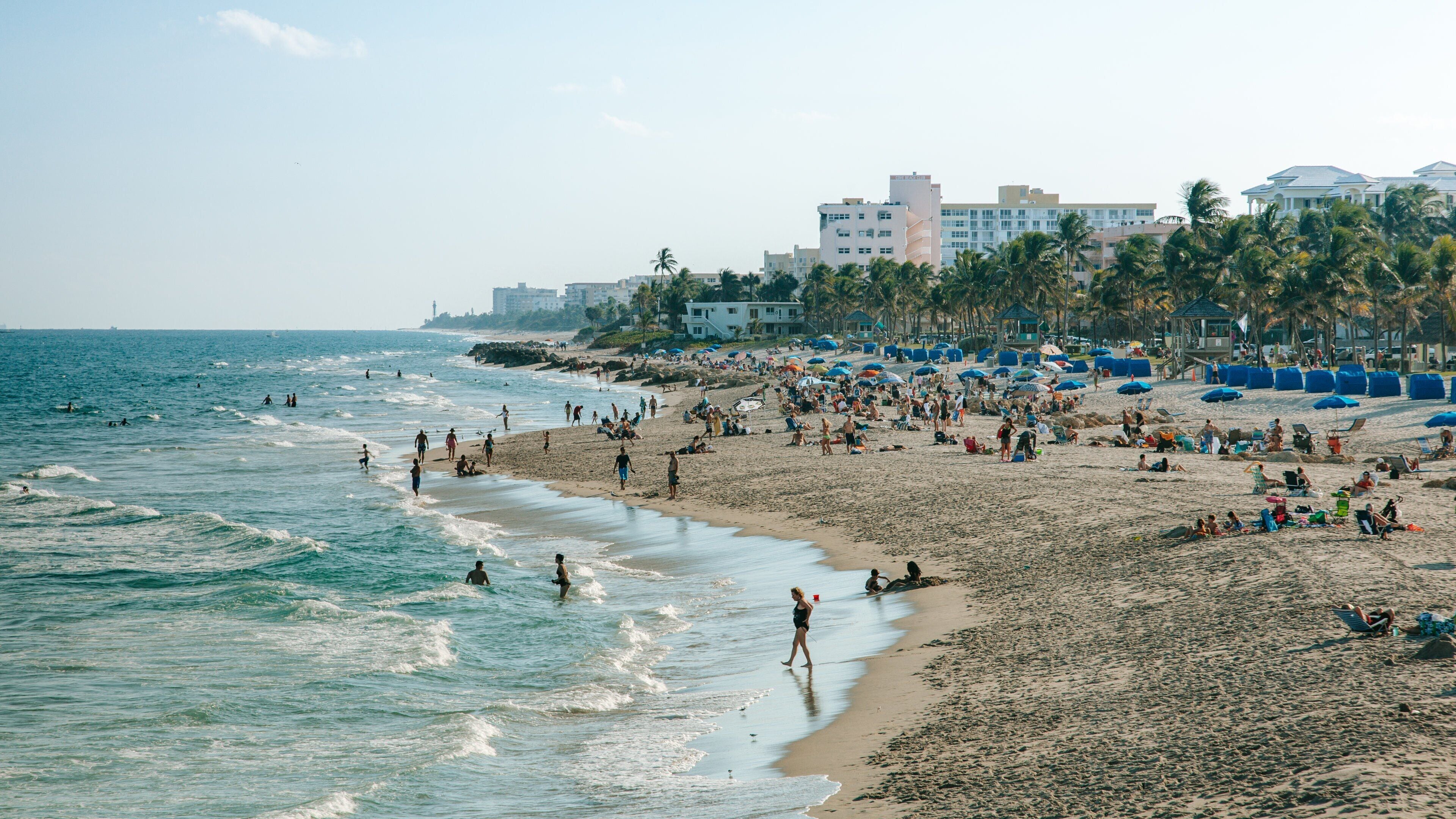 Deerfield Beach Pier showing landscape views, general coastal views and a sandy beach